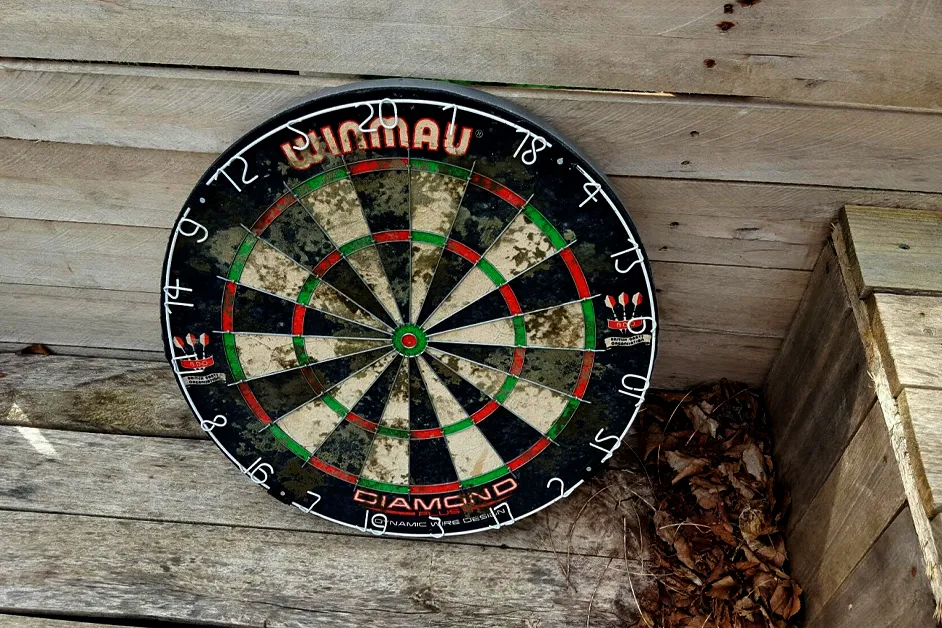 How To Clean Moldy Dartboard